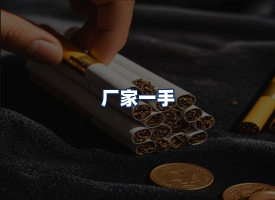 专业团队办公环境